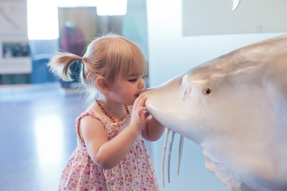 Fraser River Discovery Centre