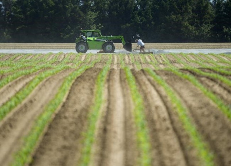 The COVID-19 pandemic has shown that migrant labourers in Canada can no longer be treated like "throwaway people" as they have been in the past, advocates say. Here workers do maintenance at the Scotlynn Group where 164 Migrant workers have tested positive for COVID-19, shutting down the asparagus farming facility temporarily during the COVID-19 pandemic near Vittoria, Ont., June 3, 2020.