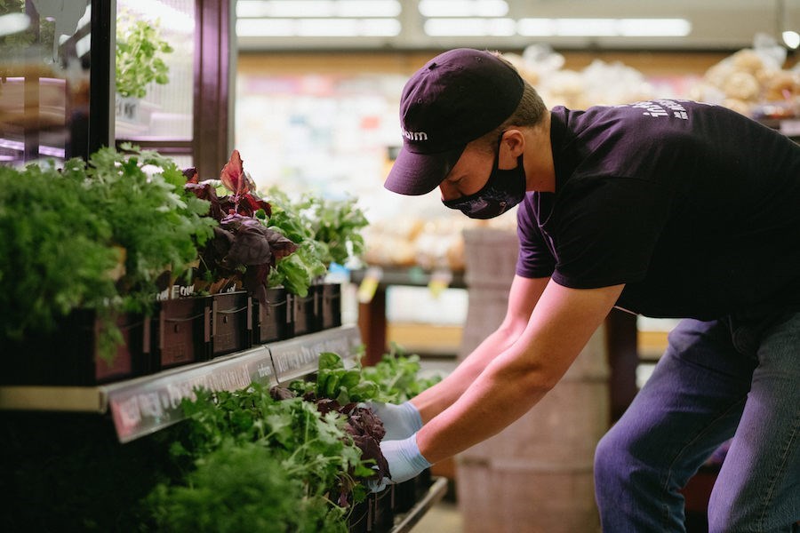 vertical farming safeway burnaby