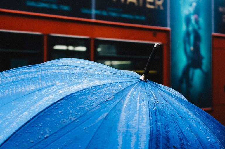 umbrella