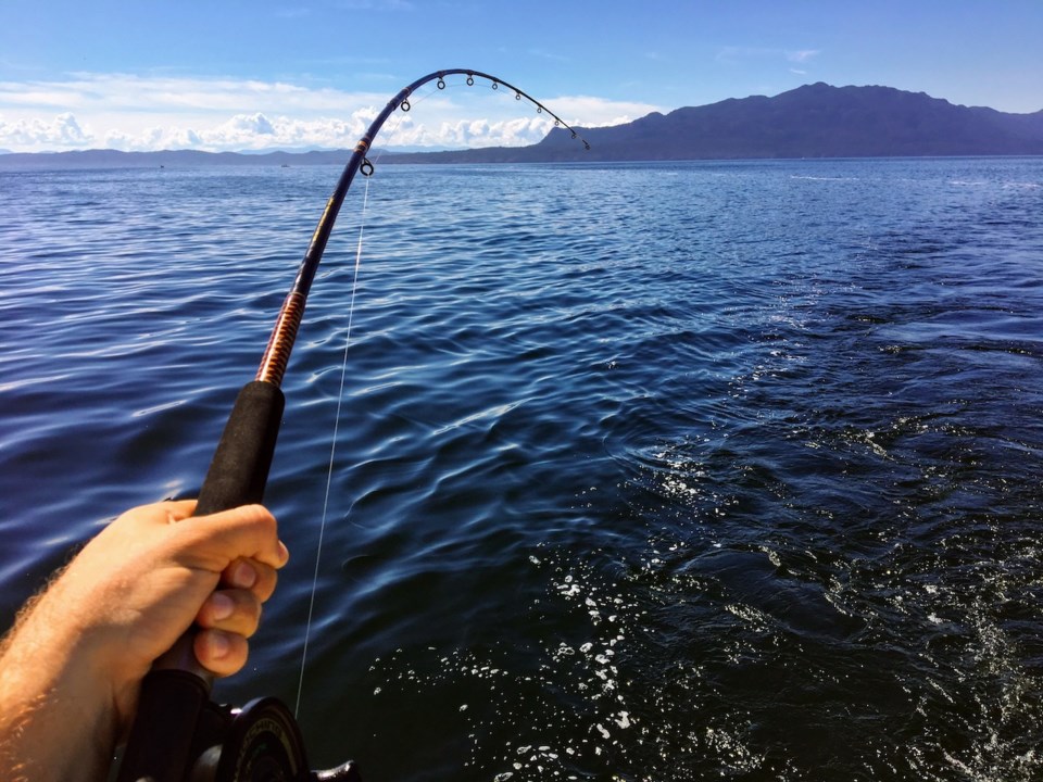 Fishing for salmon off the coast of B.C.