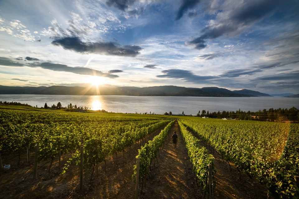 A Kelowna winery