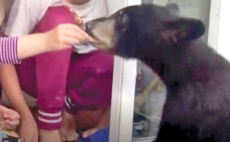 This screenshot from a video posted on Instagram in 2018 shows children hand-feeding a bear cub at their sliding glass door.