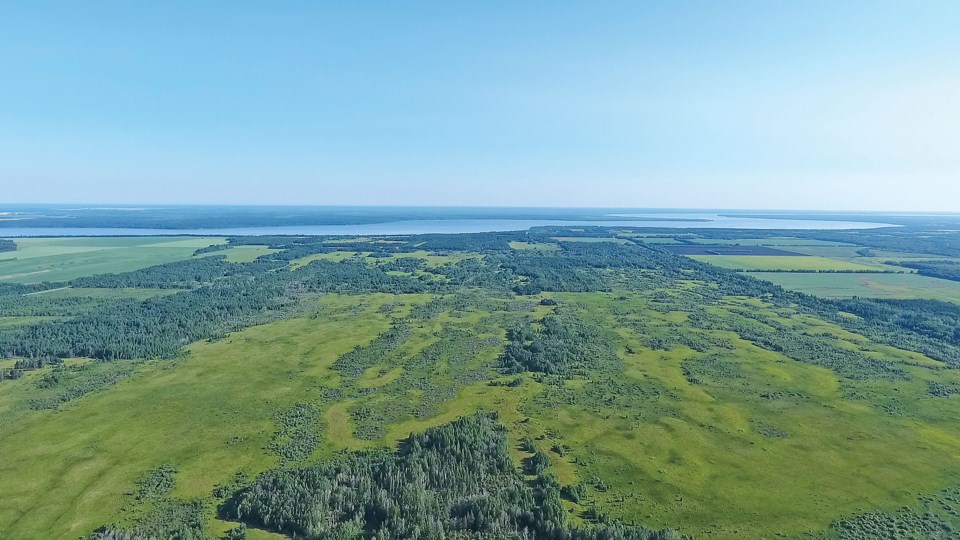 Sask farmland Cawkwell