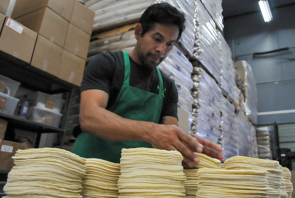 Bleyder Martinez collects stacks of corn tortillas as they come off the assembly line. In charge of