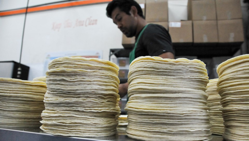 Quality control comes right before the tortillas are bagged.