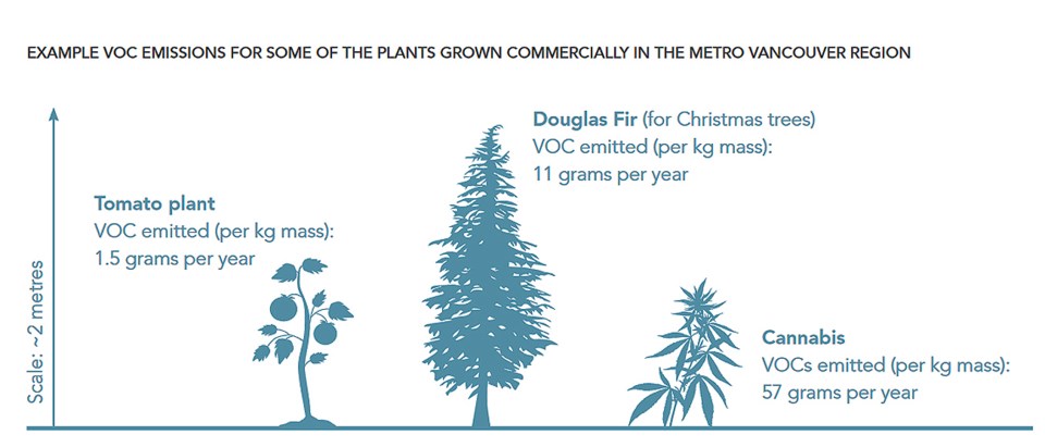 metro vaancouver cannabis odours bylaw