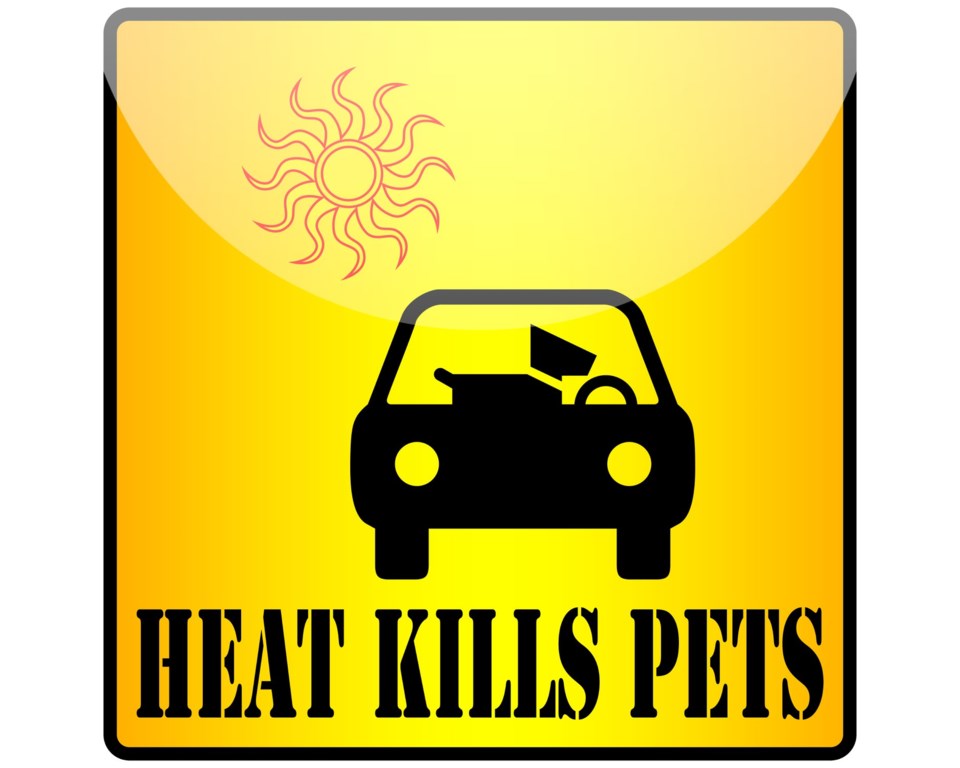 Heat safety reminder from police