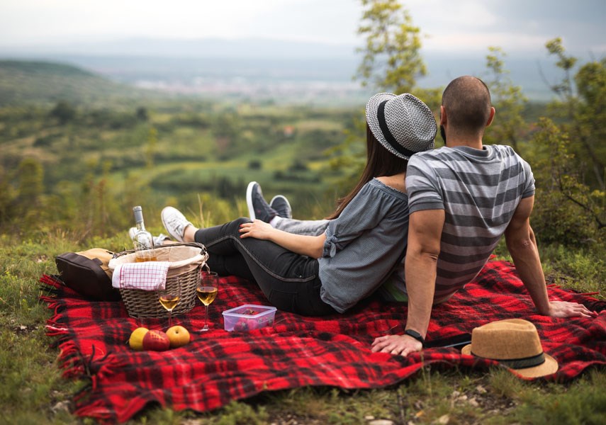 Picnic