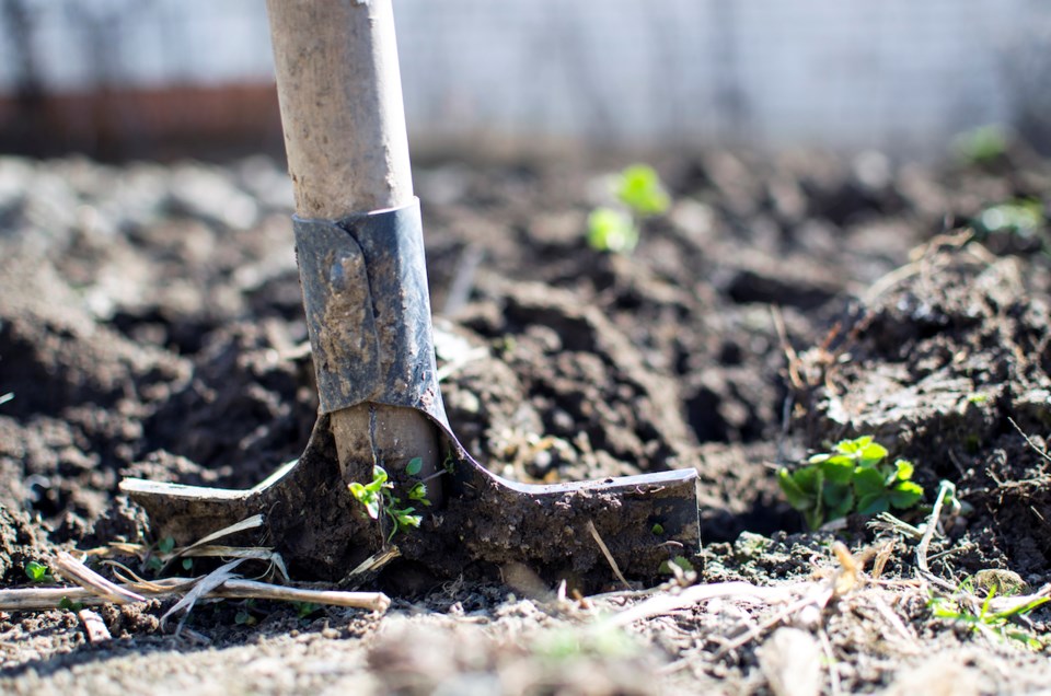 Shovel in the ground