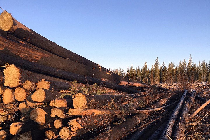 burns lake fire rehab