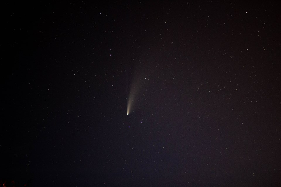 Neowise Comet