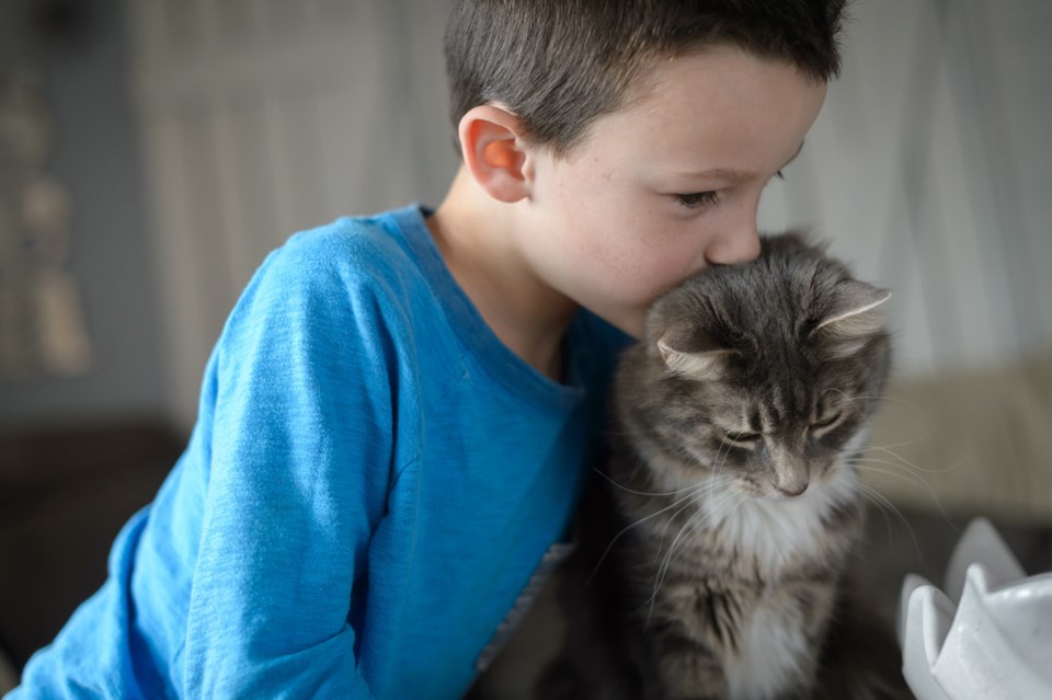 SPCA’s summer camps go virtual Richmond News