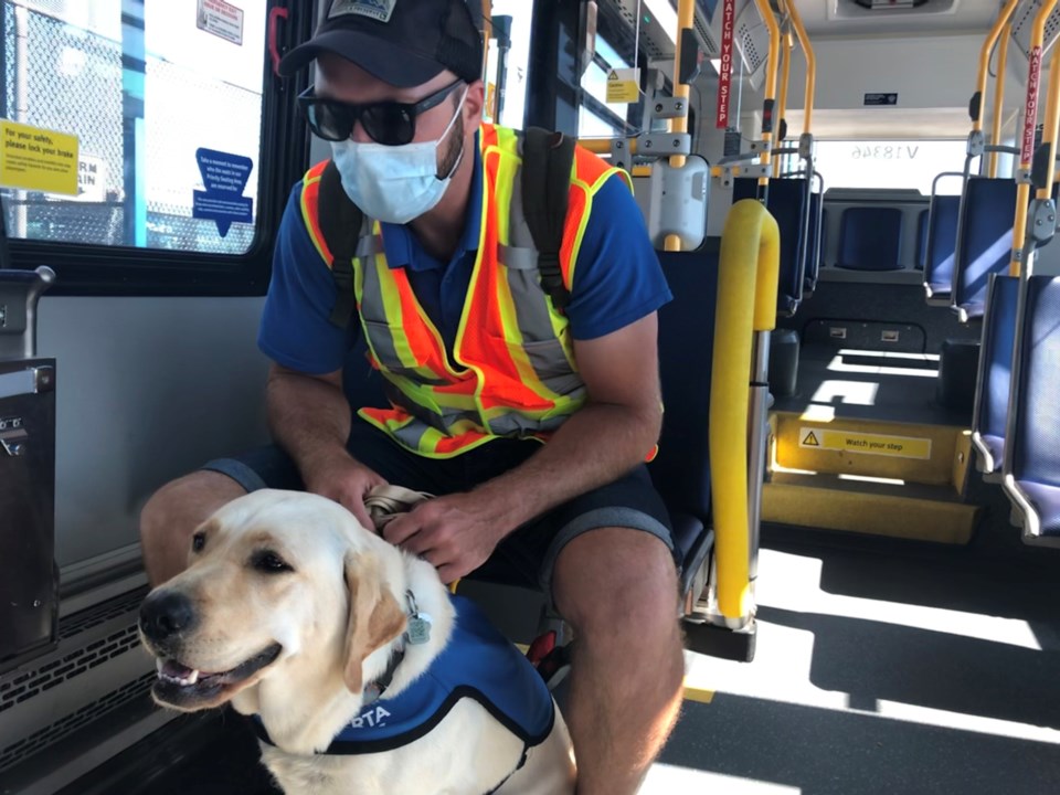 Guide dogs
