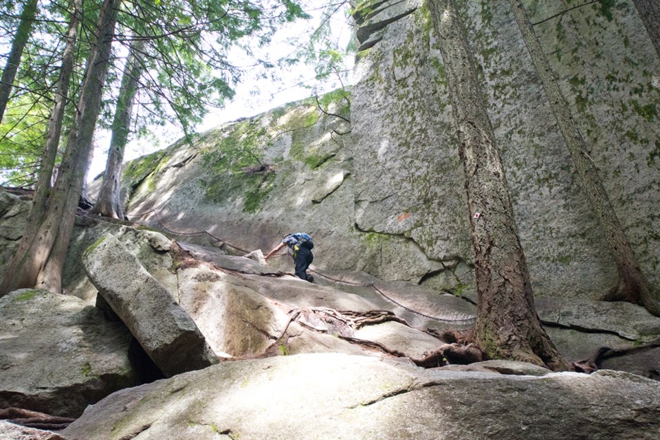 The Stawamus Chief hike will be open once again, with conditions.