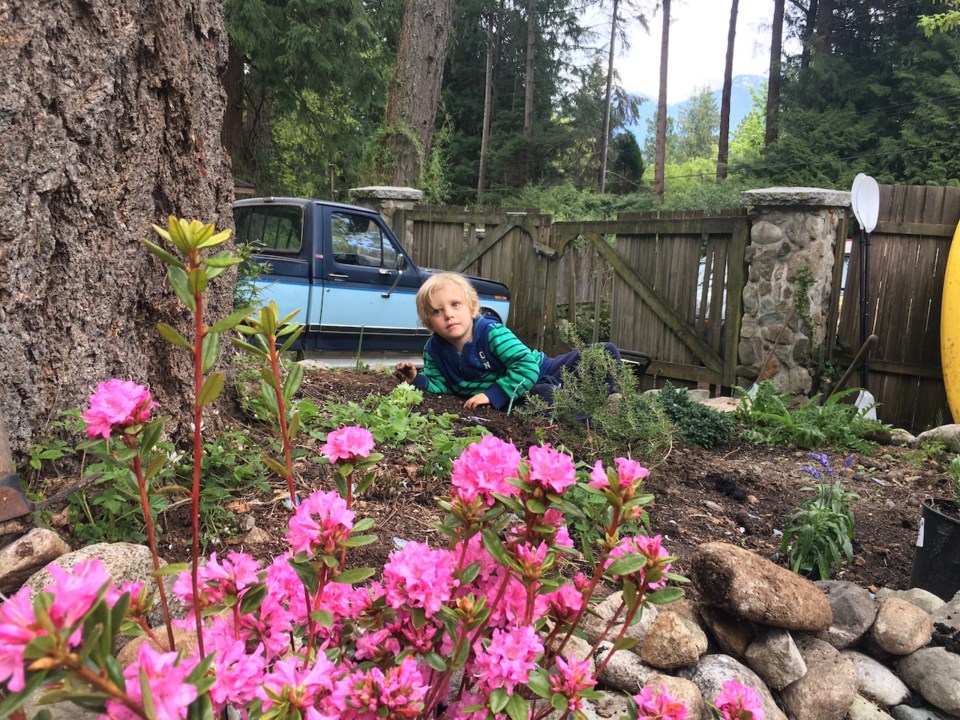 Meet Bowen's three-year-old gardener_0