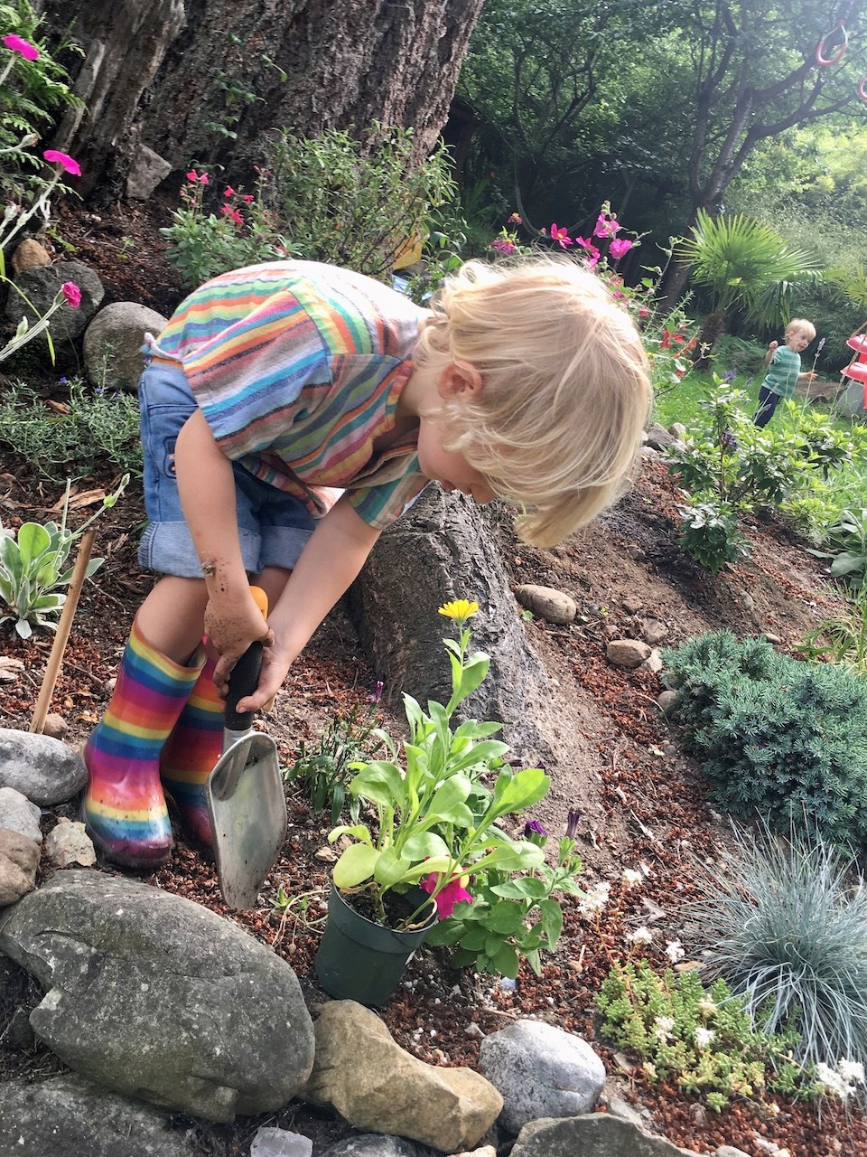 Meet Bowen's three-year-old gardener_2