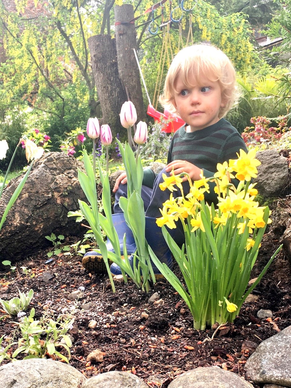 Monty in his garden with some yellow flowers