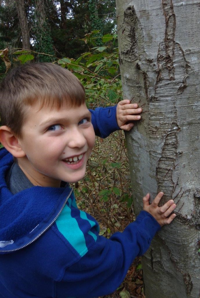 A kid meets a tree during the Mossom Creek Summer camp. This year, all activities will be held outsi