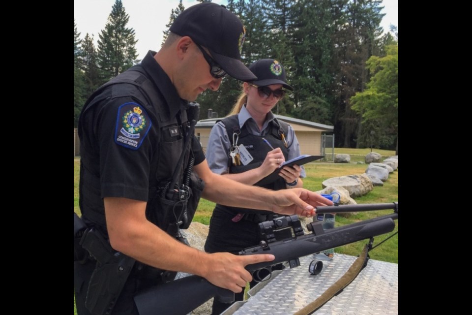 In this file photo, BC conservation officers prepare to track down a bear in the Tri-Cities.