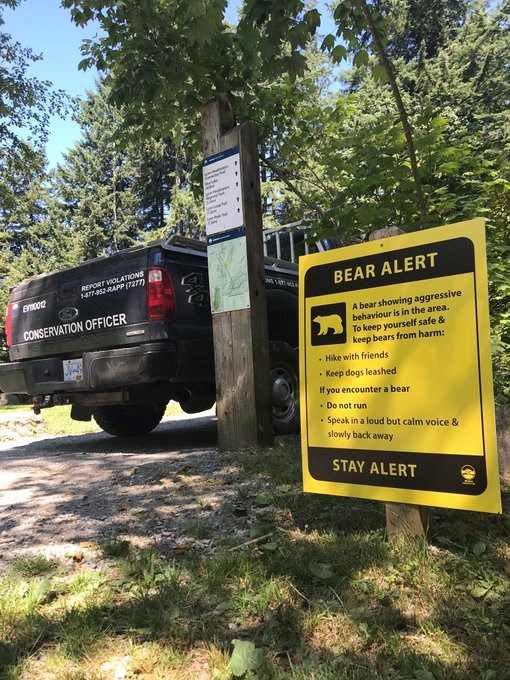 bear search halted