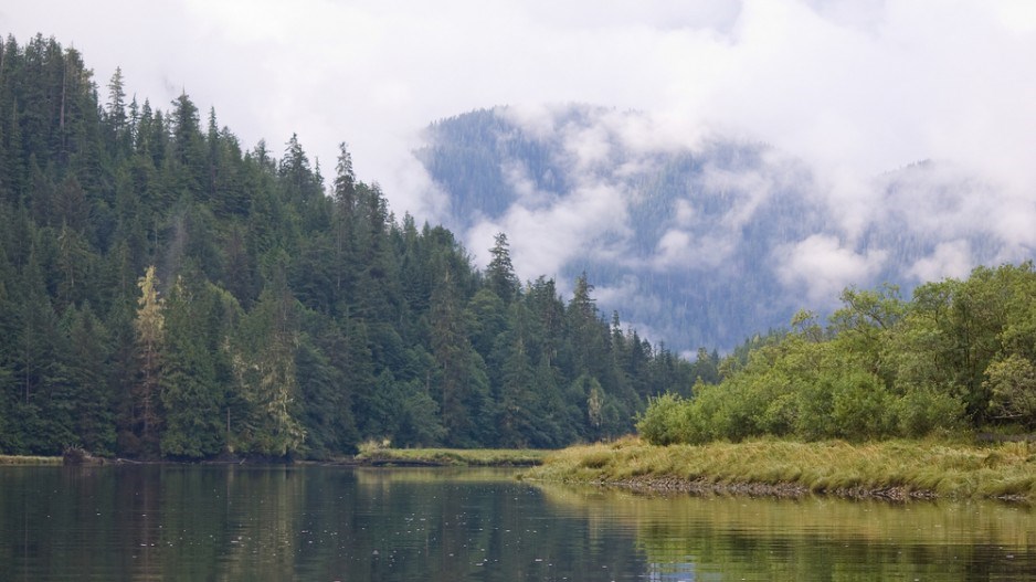 Smith-inlet-Great-Bear-Rainforest