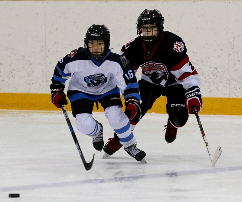 minor hockey