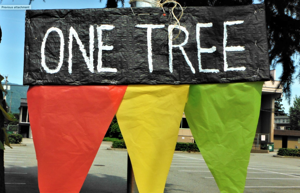 Tree removal event to raise awareness in Port Coquitlam