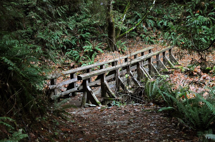trail bridge