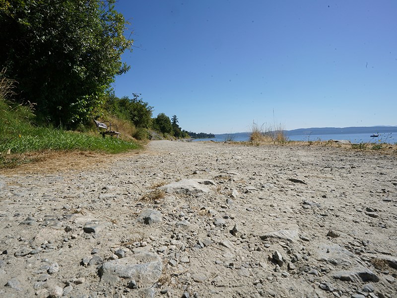 Powell River sea walk