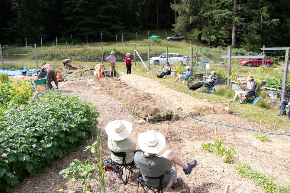 Getting into no-till gardening: lasagna beds_4