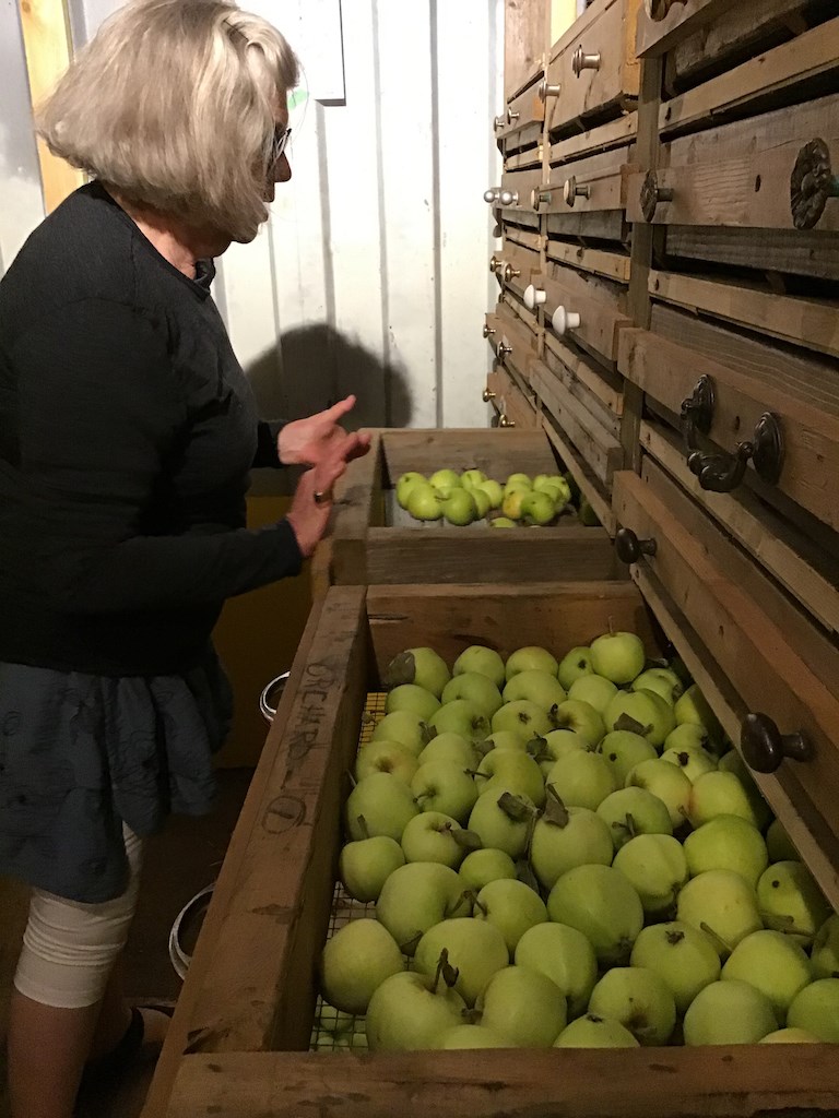 Drawers of apples in the van Berckel root cellar