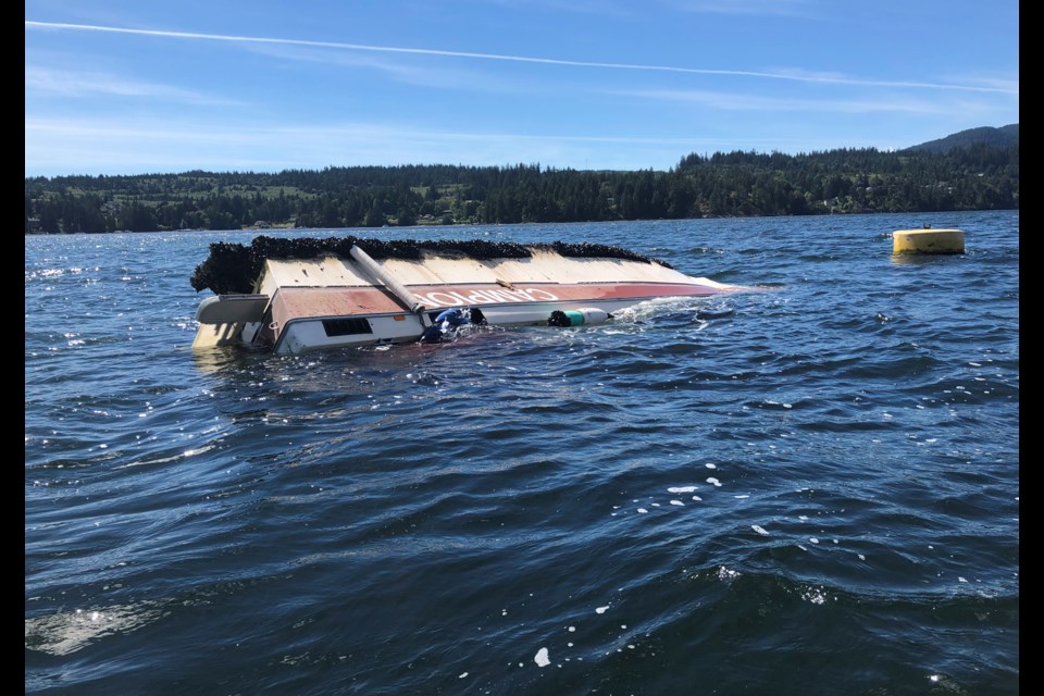 'Bald Eagle' seen partially submerged from the water.