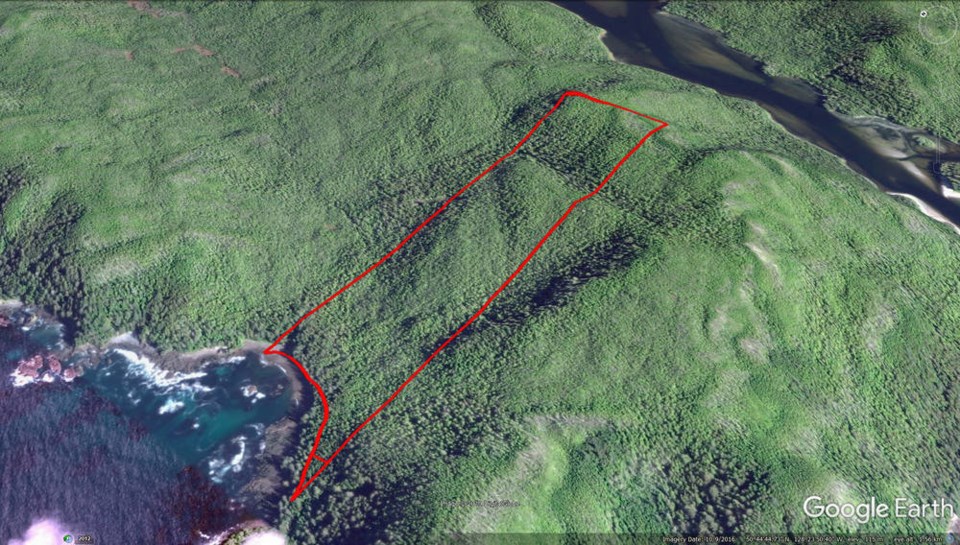 TC_4509_web_CapeScott_GoogleEarth.jpg