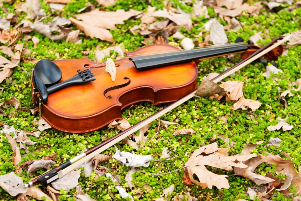 violin, outdoors, classical music, stock photo