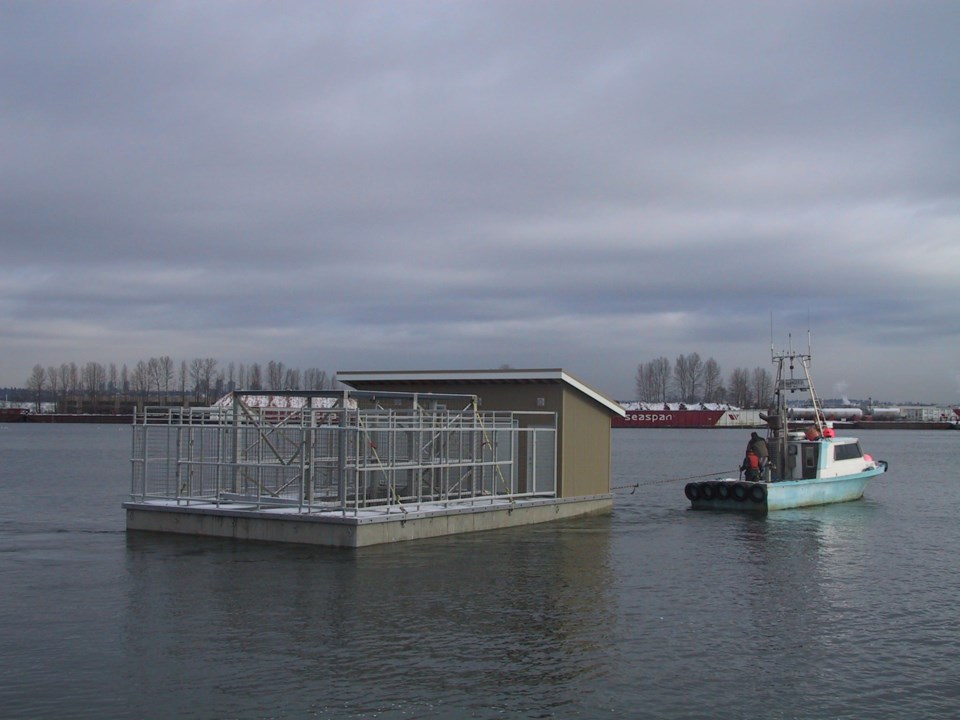 One of the sea lion pens and a shed get towed away from Reed Point Marina to a temporary moorage. It