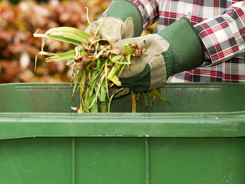 qathet Regional District organics processing