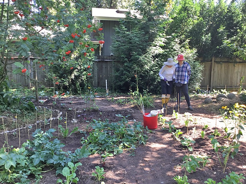 Darrell’s garden provides a haven for community to grow_1