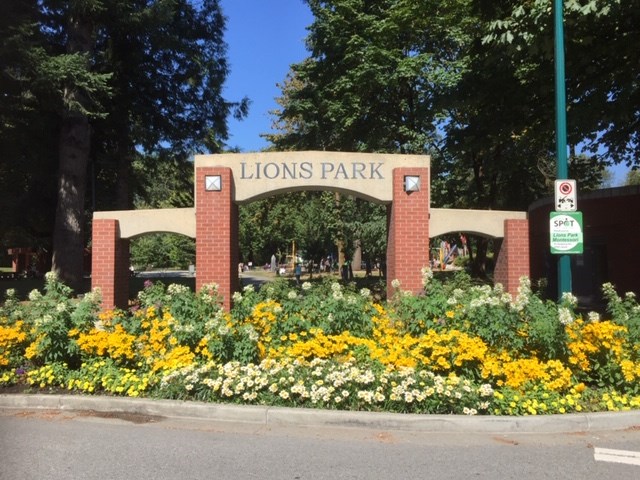 A forested corner of Lions Park