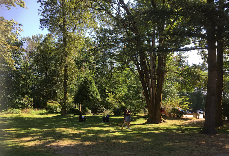 A corner of Lions Park next to the parking lot will be turned into a whimsical forest with winding paths, logs, native plants and public art.