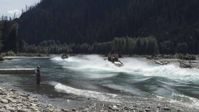 Speeding jet boats on the upper Pitt River is a cause for concern, environmentalists and advocates say.