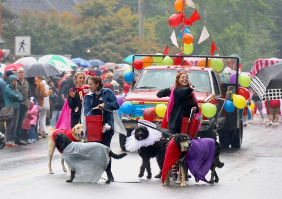 Dogs and people on Trunk Rd. in 2018.