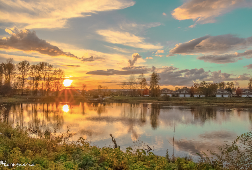 This beautiful photo of a sunset at Blakeburn Lagoons was shot by Mehran Najafi.