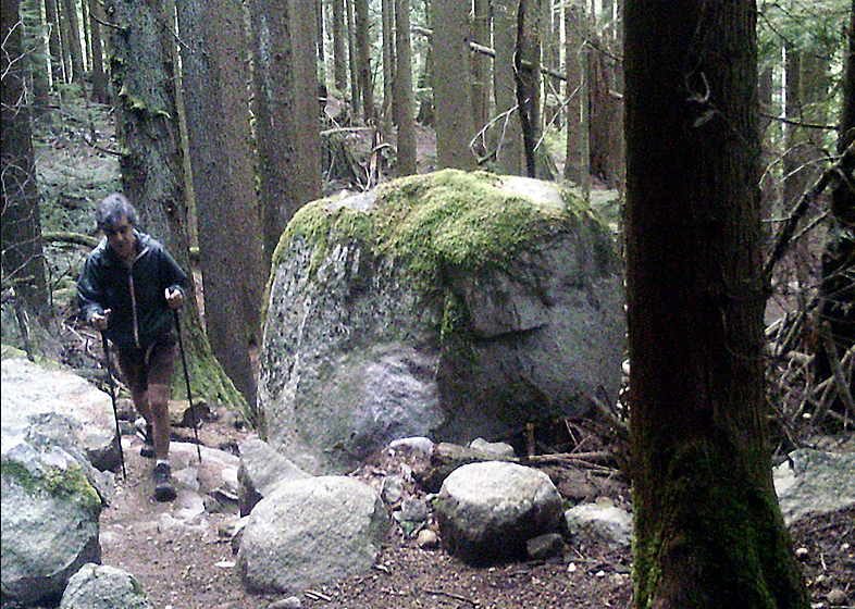 In this updated photo of Ali Naderi, he is seen walking in the woods