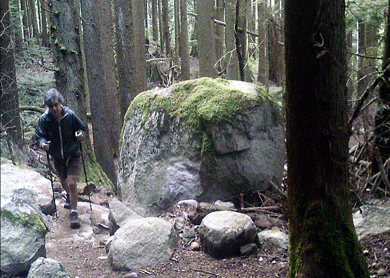 In this updated photo of Ali Naderi he is seen hiking in the woods wearing a light jacket and using walking poles.
