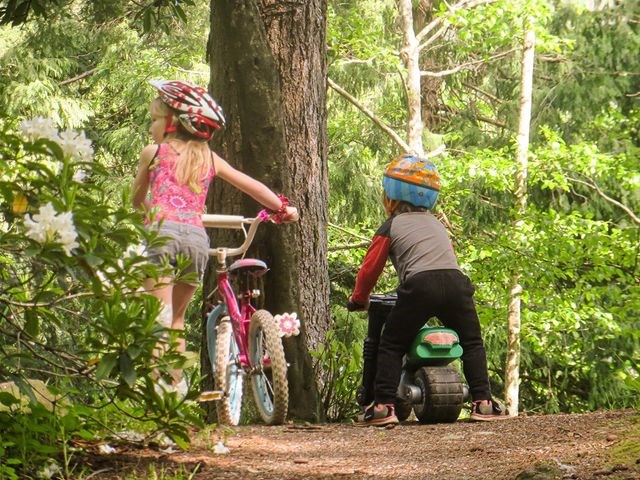 Bowen photographer documents COVID summer life_0