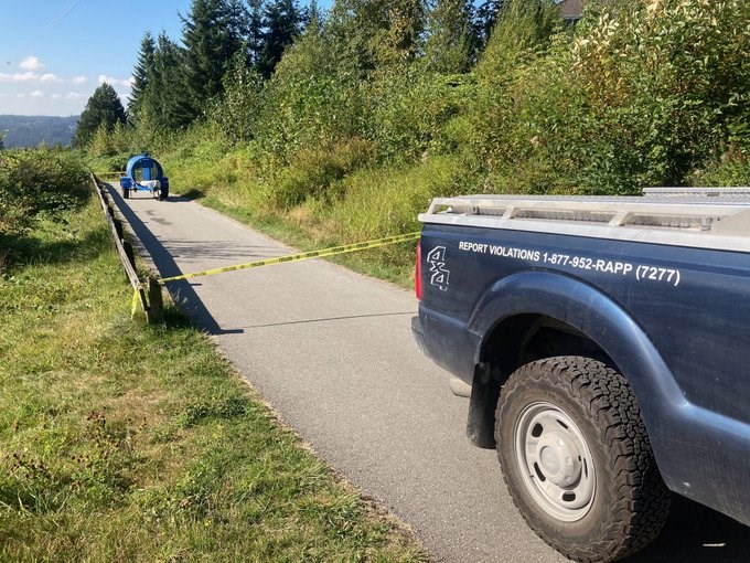 A bear trap has been set up on the upper portion of the Coquitlam Crunch to capture a bear that swiped at a woman jogger on Saturday.