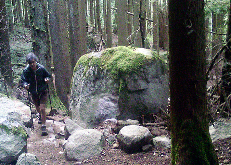 A photo of Ali Naderi taken while he was walking on a trail on Eagle Mountain