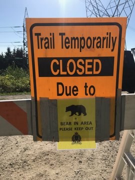 A portion of the Coquitlam Crunch trail is currently closed.