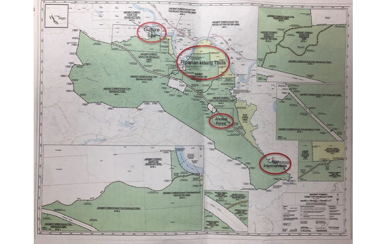 10 Ancient forest map